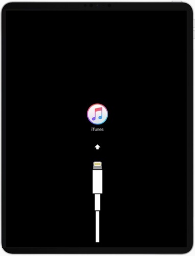 iPad 画面割れ　初期化・動作確認済み 2024】iPadを強制初期化する方法｜PassFab iPhone Unlocker